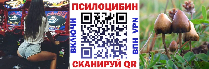 Псилоцибиновые грибы MAGIC MUSHROOMS  Елизаветинская 
