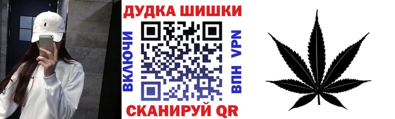 Бошки Шишки планчик Елизаветинская
